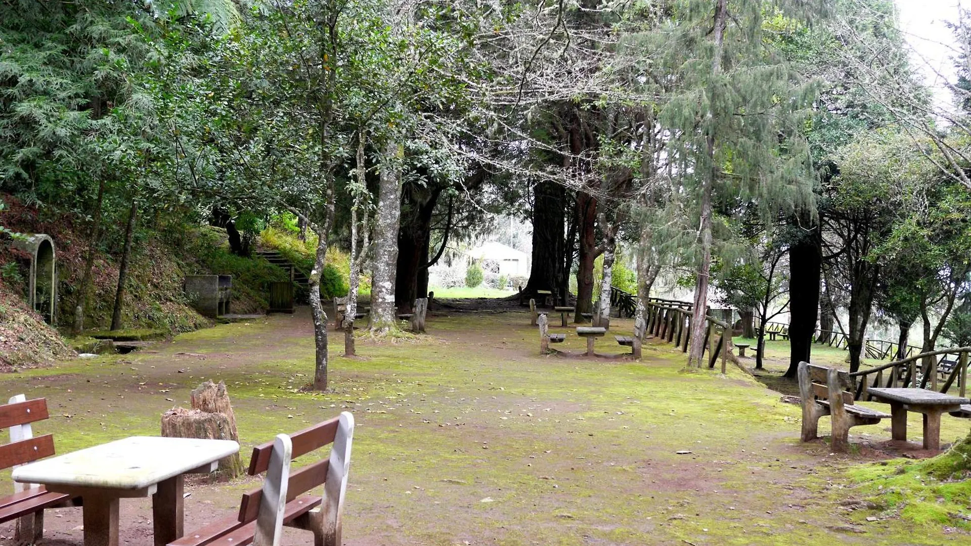 Green Valley Cruzinhas House With Fireplace & Bbq Santana  0*, Santana (Madeira) Portugalia